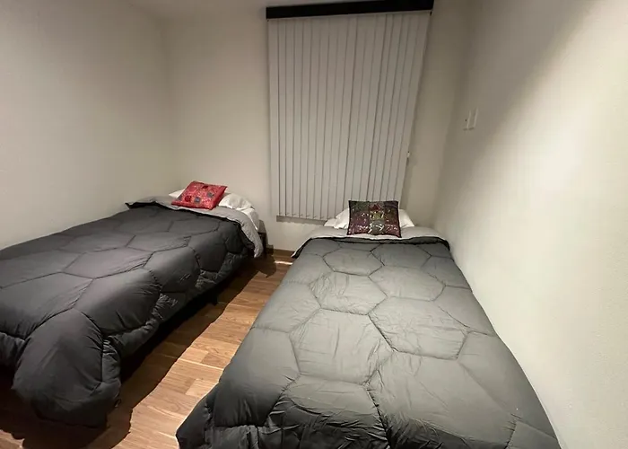 Apartment Modern And The Location