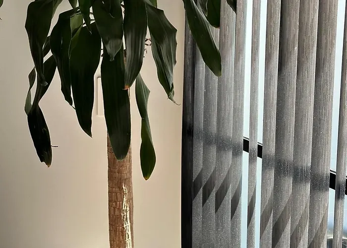 Modern And The Location Apartment